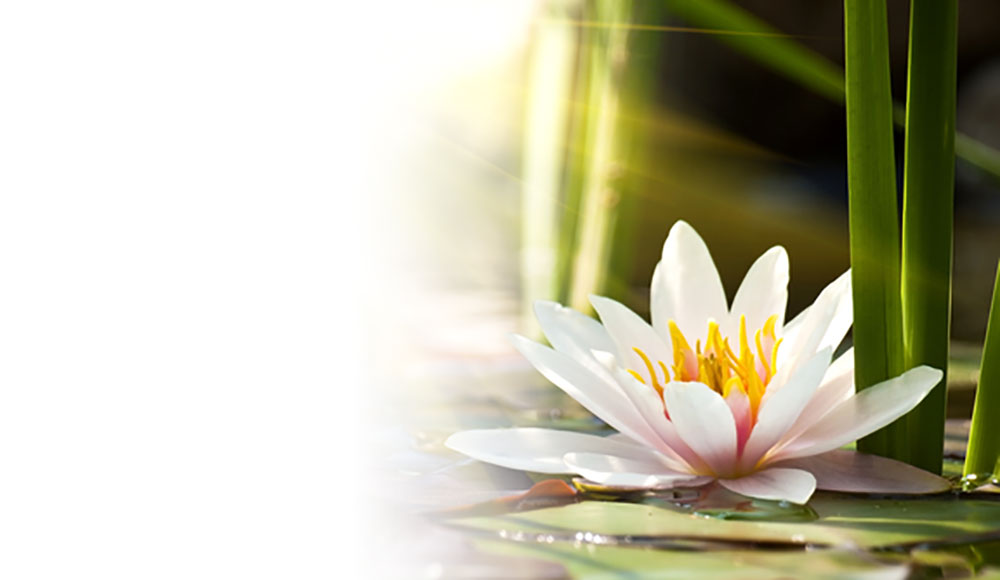 Compassionate Funerals have over 20 years funeral memorial services and arrangements experience and care for families in the local St Marys & Penrith district and Sydney region.