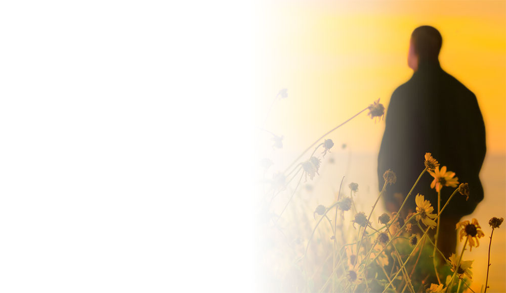 Man looking out in daisy field